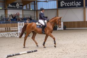 Foto@Equitaris