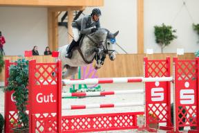 Creature (Colestus x Re Mexico) | Foto: Equitaris