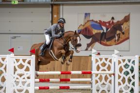 Constantin (Colestus x Quidam de Revel) | Foto: Equitaris