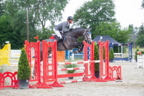 Foto: Equitaris | Christian und Christobal (Colestus x Carell)