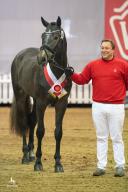 Cortez FZ (Foto: Equitaris)
