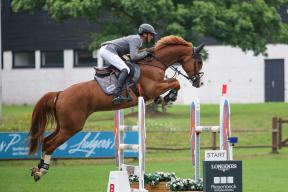 Christian und Constantin (Colestus x Quidam de Revel)