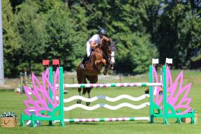 Christian und Constantin (Colestus x Quidam de Revel) werden 3. im S* und 4. im S**-Springen