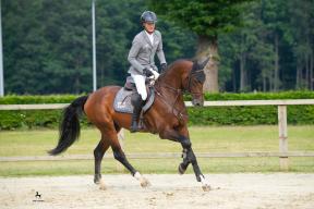 Foto: Equitaris | Christian und Perignon (Perigueux x Stolzenberg)