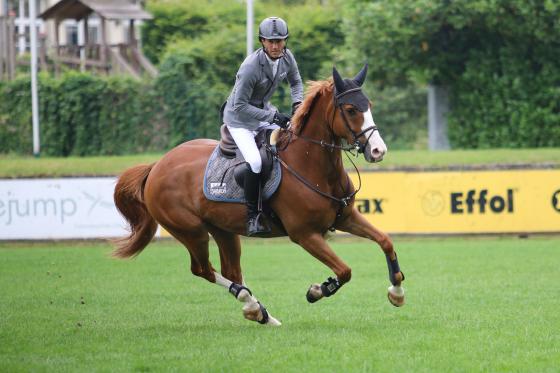 Christian und Constantin (Colestus x Quidam de Revel)