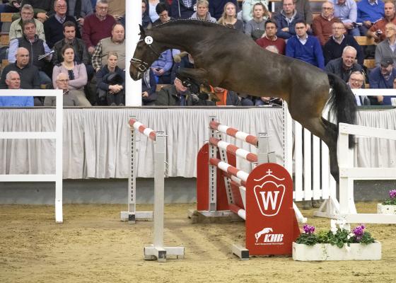 Forlee, Foto: Guido Recki