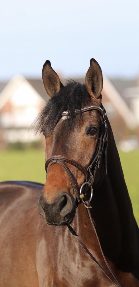 Forlee, Foto: Blaschke