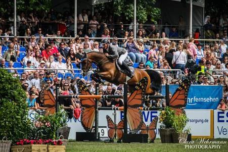 Ludger und Cool Feeling in Wiesbaden | Foto: Clara Wehrmann | instagram: @clarawehrmann_photography