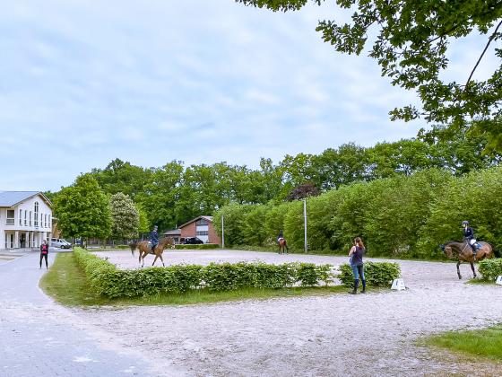 Late-Entry unter besonderen Maßnahmen in Riesenbeck